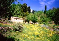 Farmhouse, Languedoc-Roussillon, France